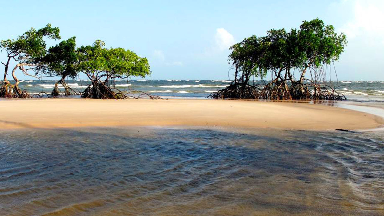 Ilha de Marajó